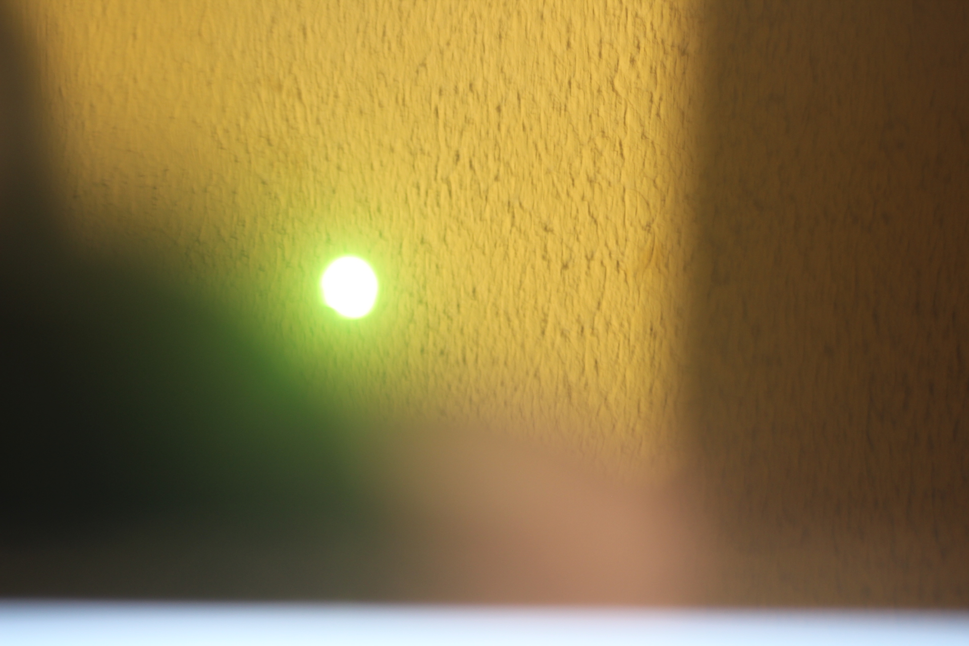 ECLIPSE SOLAR CHILE 2019 - IMG_8198.JPG